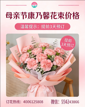 赣州寻乌县花店母亲节康乃馨花束