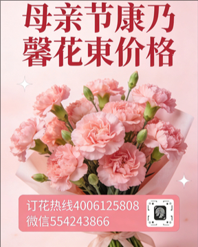 赣州寻乌县花店母亲节康乃馨花束